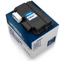 Electronic Gas Injection